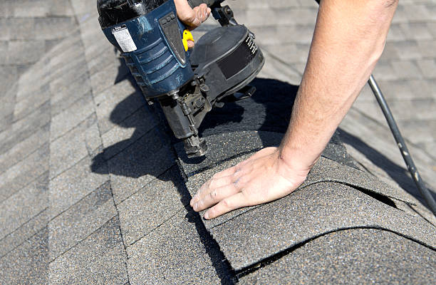 Best Storm Damage Roof Repair  in Llington, MI